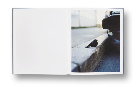 ZZYZX Gregory Halpern (First edition, Third printing) - MACK