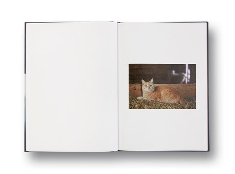 Neighbors Roe Ethridge - MACK