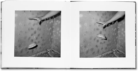 Vandalism John Divola - MACK