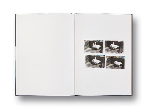 Neighbors Roe Ethridge - MACK