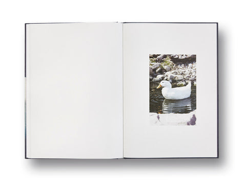 Neighbors Roe Ethridge - MACK