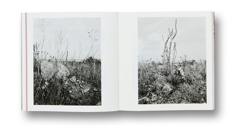 And Time Folds Vanessa Winship - MACK
