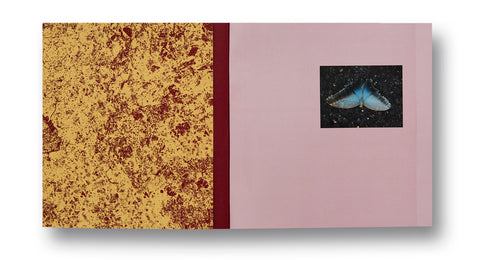 And Time Folds Vanessa Winship - MACK