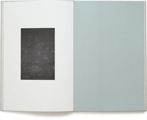 A Partial Eclipse Martin Boyce - MACK