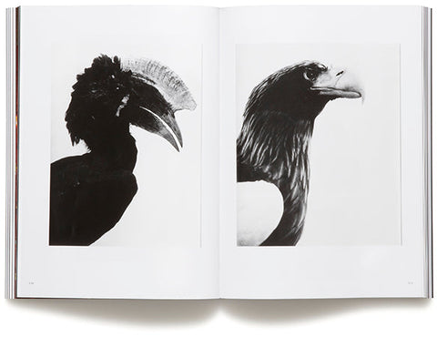 LE SILENCE Une fiction Cristiano Raimondi (ed.) & Simone Menegoi (ed.) - MACK