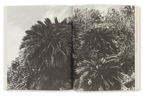 There I Was Collier Schorr - MACK