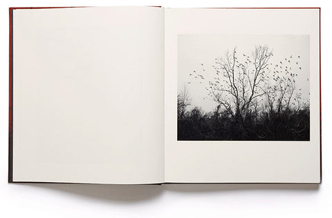 she dances on Jackson Vanessa Winship - MACK