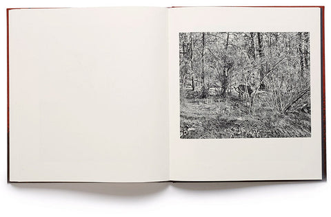 she dances on Jackson Vanessa Winship - MACK