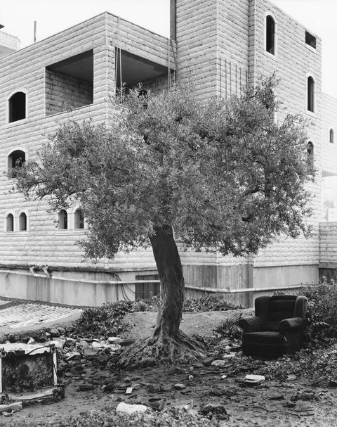 Adam Broomberg at ARSENALE, Anafi