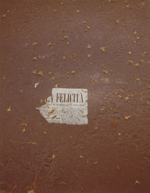 Luigi Ghirri: Felicità [Exhibition]