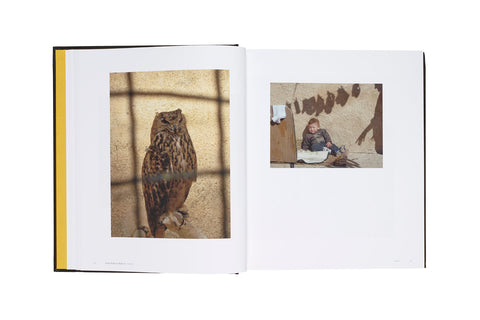 This is Where I Live  Wendy Ewald - MACK