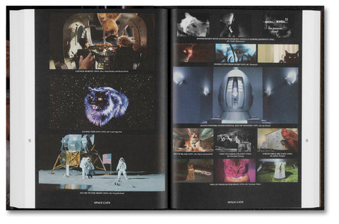 A colorful page from "The Encyclopedia of Movie Cats" book by A24, featuring illustrations of feline characters from films.