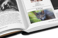 Close-up of a fluffy cat from "The Encyclopedia of Movie Cats" book by A24, showing detailed feline fur and expressive eyes.