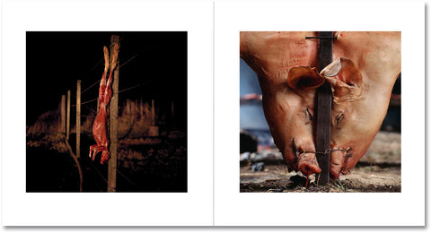 On the Sixth Day Special Edition - MACK