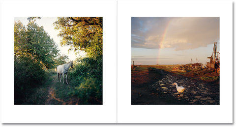 On the Sixth Day Special Edition - MACK