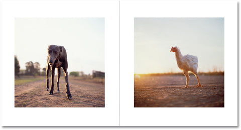 On the Sixth Day Special Edition - MACK