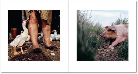 On the Sixth Day Special Edition - MACK