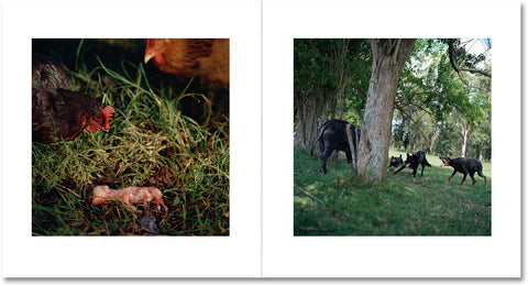 On the Sixth Day Special Edition - MACK