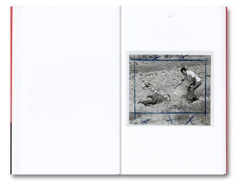 Against Barthes: The Eye and the Index