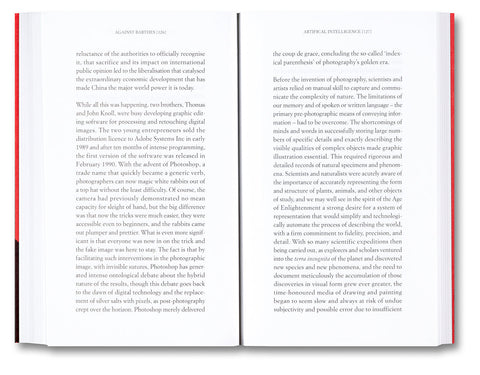 Against Barthes: The Eye and the Index