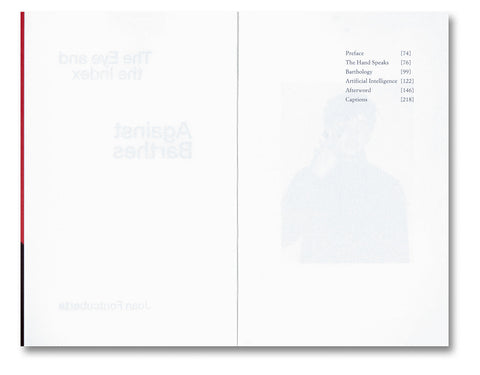 Against Barthes: The Eye and the Index