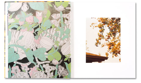 AMERICAN POLYCHRONIC - MACK