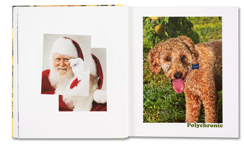 AMERICAN POLYCHRONIC - MACK