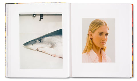 AMERICAN POLYCHRONIC - MACK