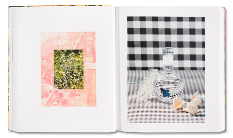 AMERICAN POLYCHRONIC - MACK