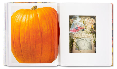 AMERICAN POLYCHRONIC - MACK