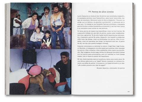 Desatar Amores Perros