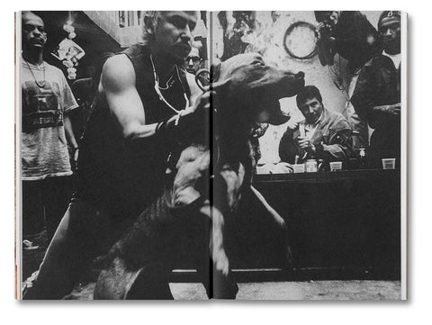 Desatar Amores Perros