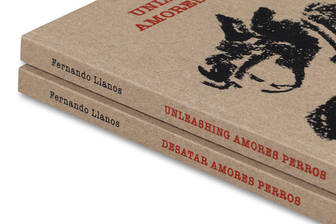 Unleashing Amores Perros