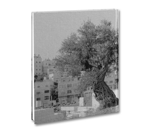 Anchor in the Landscape