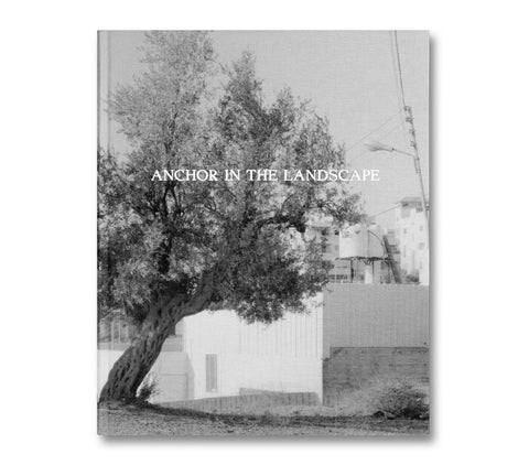 Anchor in the Landscape