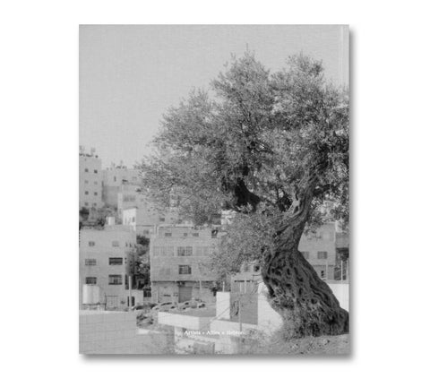 Anchor in the Landscape