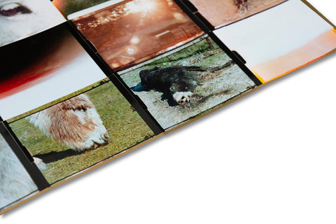 Coming and Going Special Edition - MACK