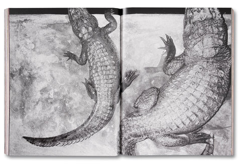 Coming and Going - MACK