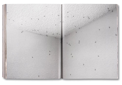 Coming and Going - MACK