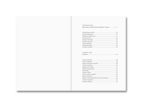 My Center is Not in the Solar System: Tributes to Etel Adnan