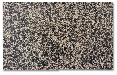 The Artist’s Books - MACK