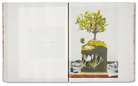 Gathered Leaves Annotated - MACK