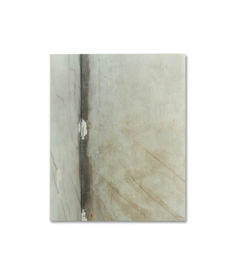 Gathered Leaves Annotated - MACK