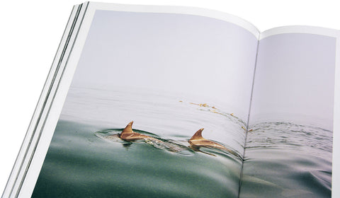 Speak The Wind - MACK