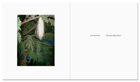 two page spread. left side features a tree at night, right side shows the book title and author "Irina Rozovsky - Mountain Black Heart"