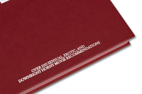 Close-up of the cover of "In the Mood?" film book by A24, showcasing detailed artwork and title on the front.