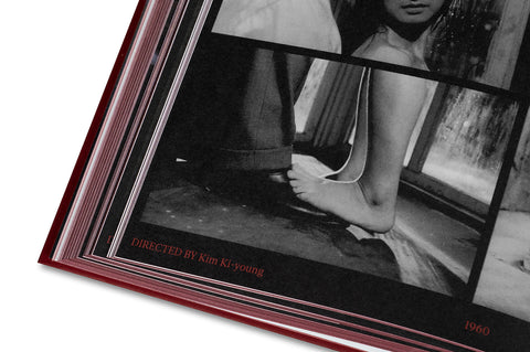 Close-up of the cover of "In the Mood?" film book by A24, featuring artistic design and title text on the front.