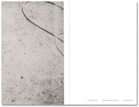 i saw the air fly - MACK