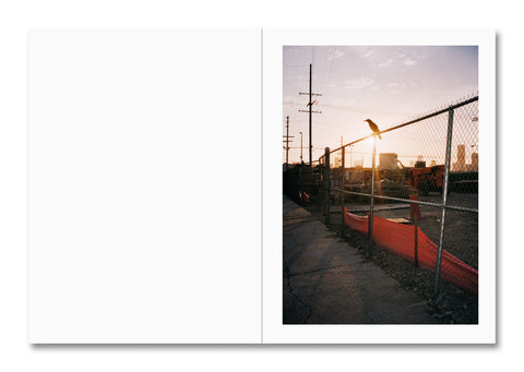 Sunset over a fence with a bird perched on it, framed by a white border.