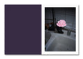 Pink flower in a sink with a dark purple page